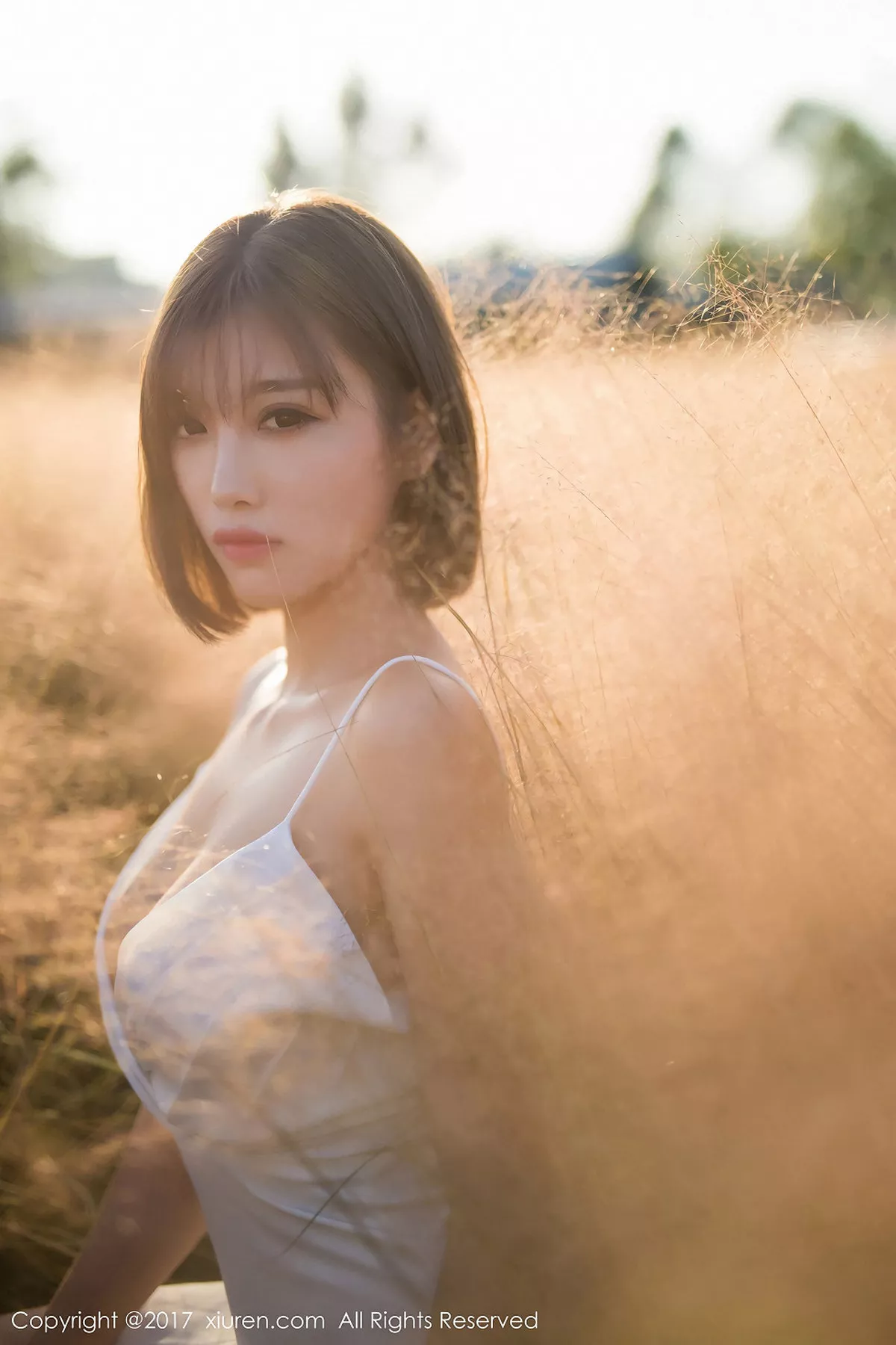 杨晨晨写真