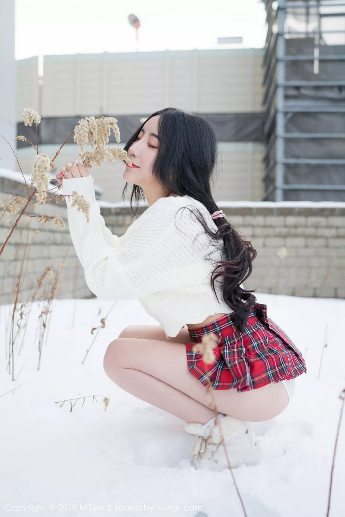 绯月樱写真