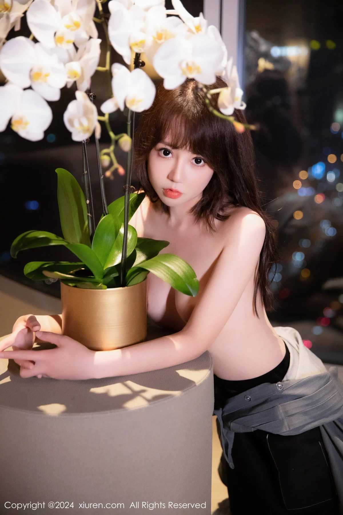 金tiao写真