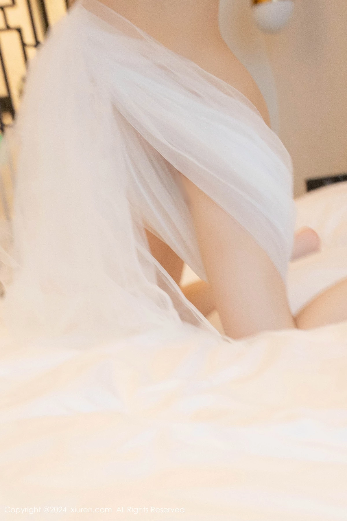 白芷写真