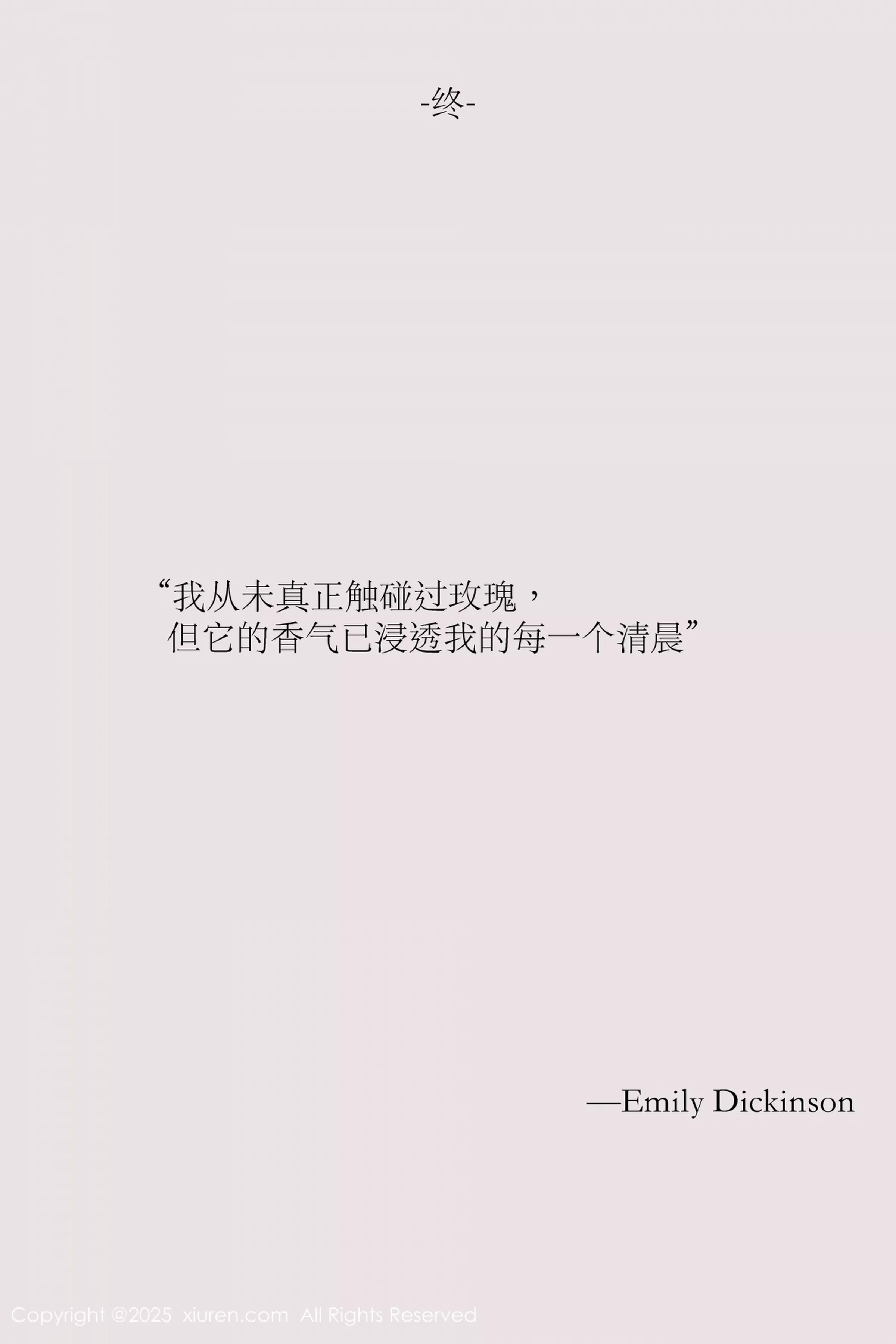 布丁写真
