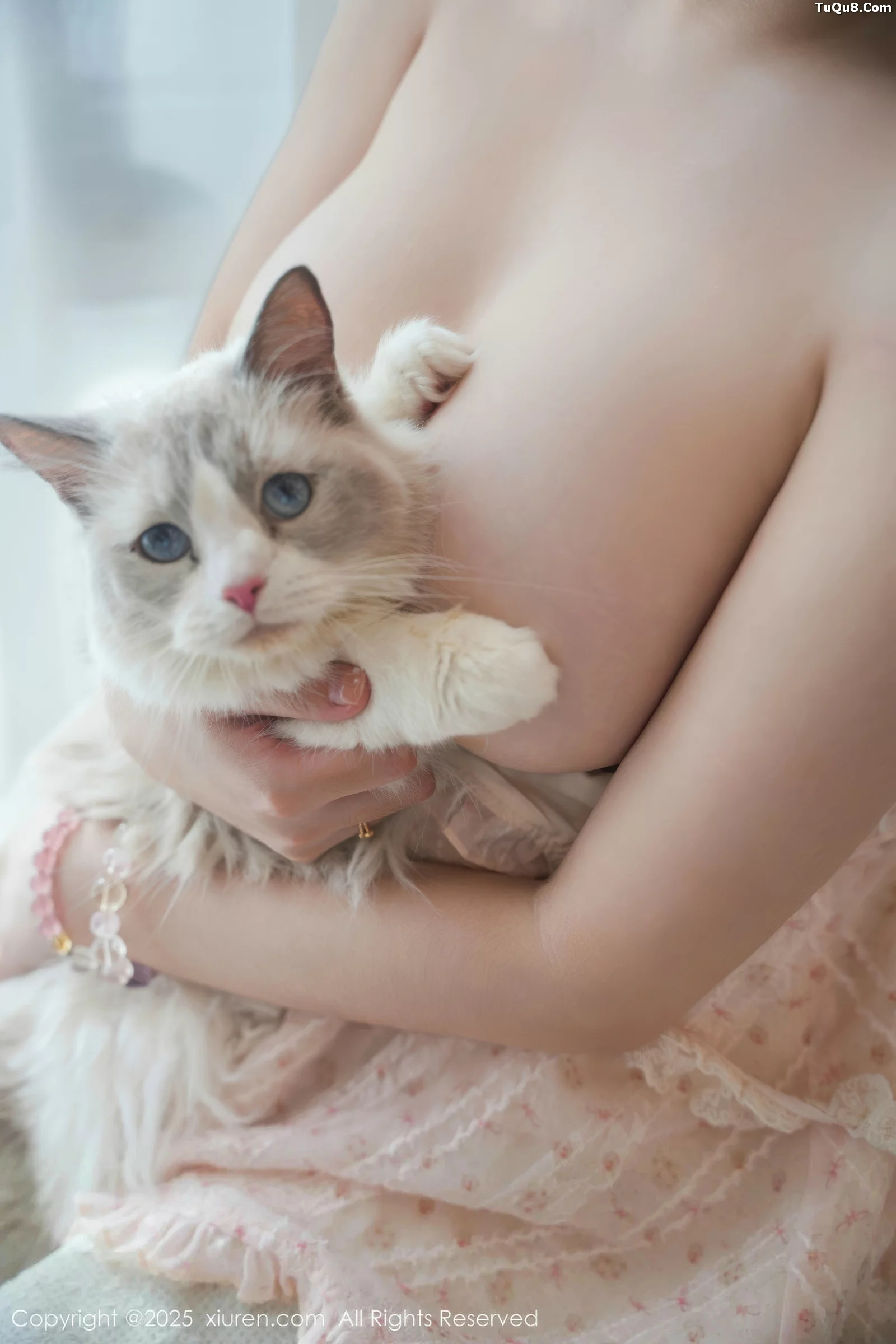 软情写真